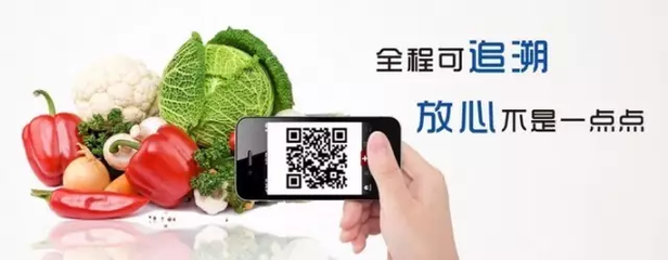 互聯網賦能永州食品農產品出口 近四年年均增長61.8%的數字化突圍之路